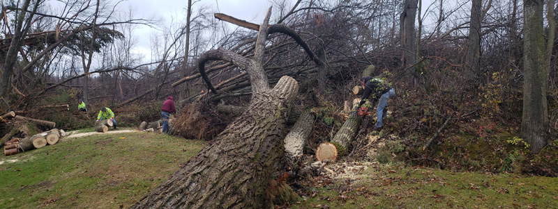 /pictures/Trail Clean Up 2018/20181104_075928.jpg